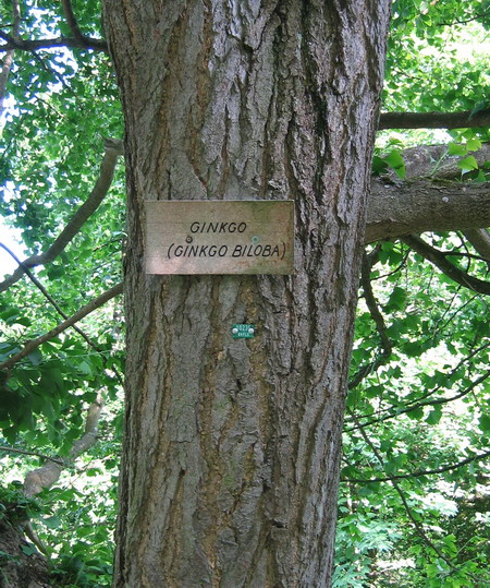 das Schild