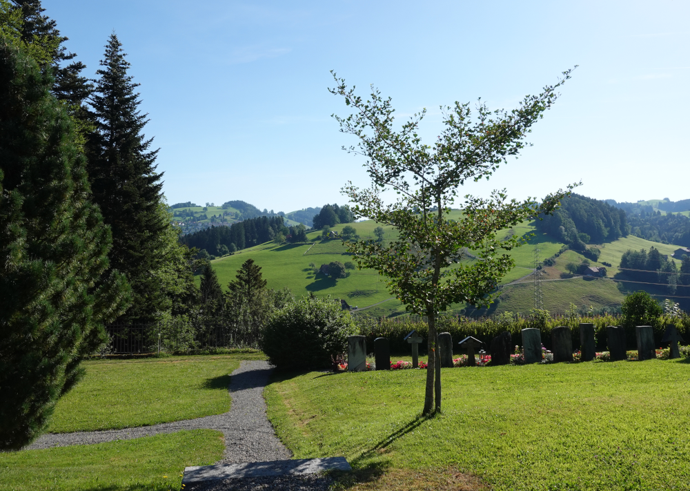 Trogen