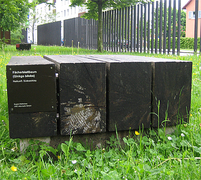 die Tafel