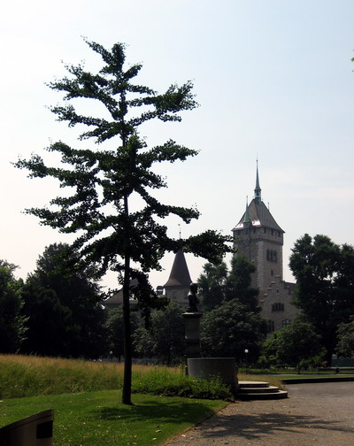 der Kleine