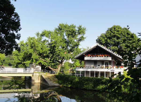 das Petrihaus