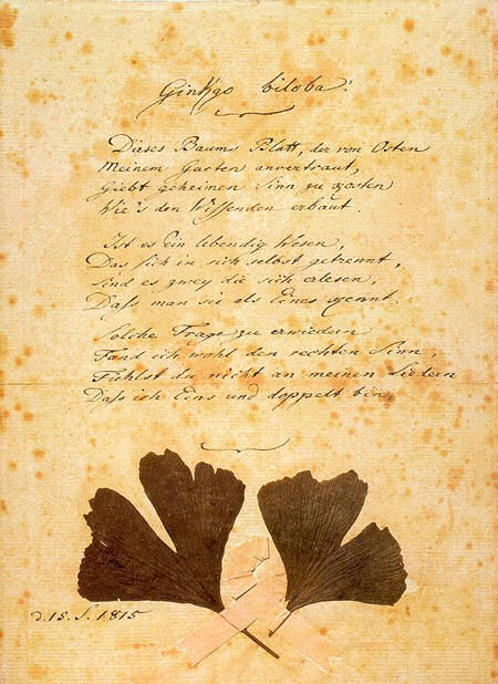 das Gedicht