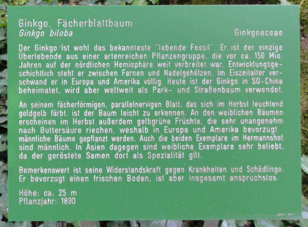 Tafel