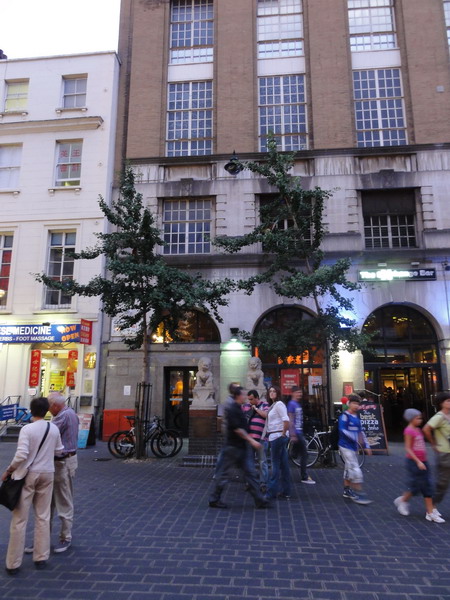 der Ginkgo