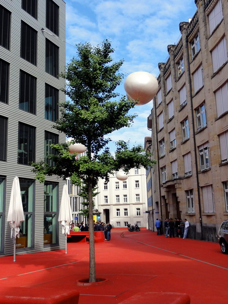 der Ginkgo