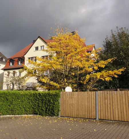 der Alte