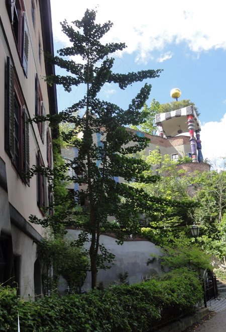 Ginkgo