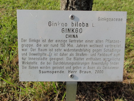 Schild