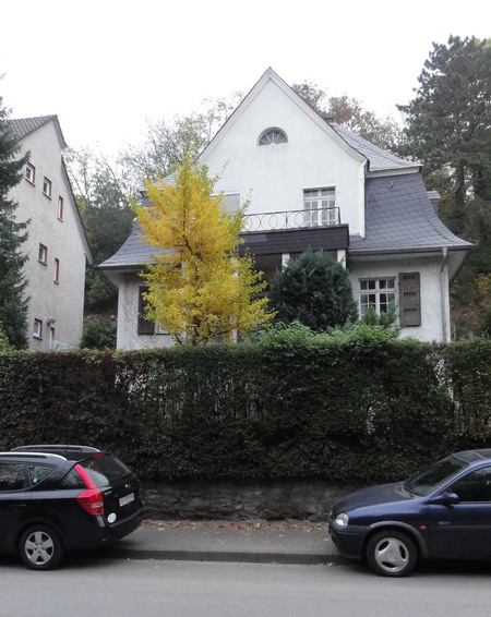 Ginkgo