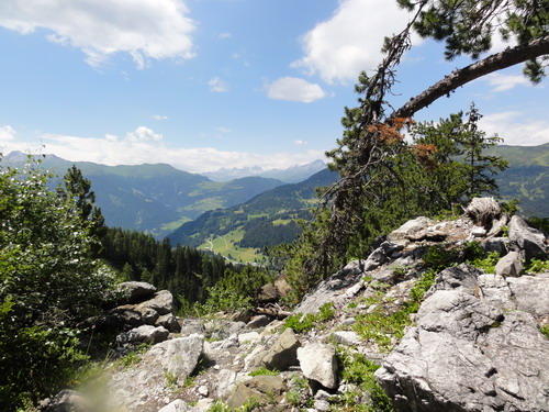 Rückweg