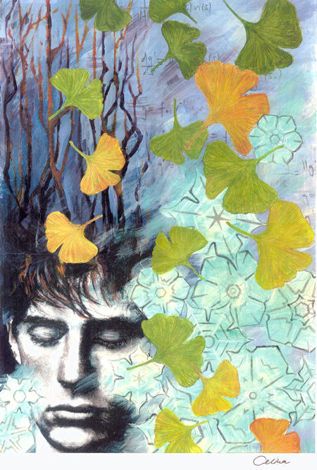 Samuels Ginkgo