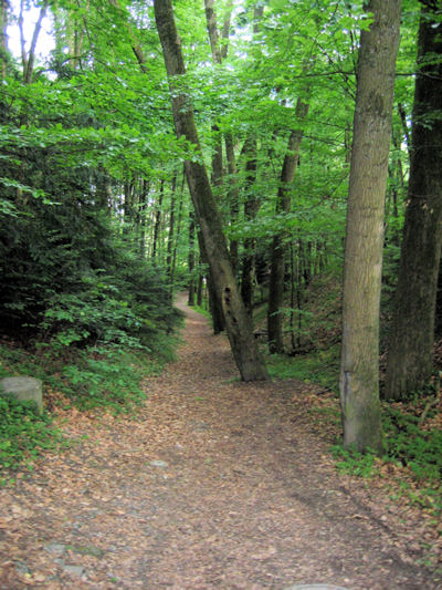 langer Weg